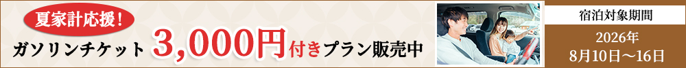 夏家計応援!ガソリンチケット3000円付き